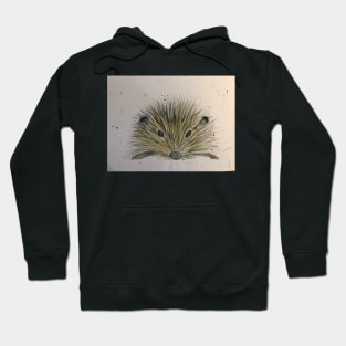 Happy Hedgehog Hoodie